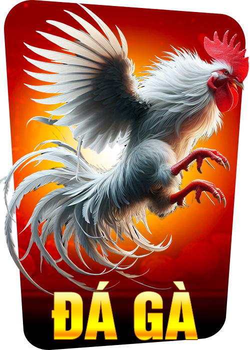 FAV - đá gà