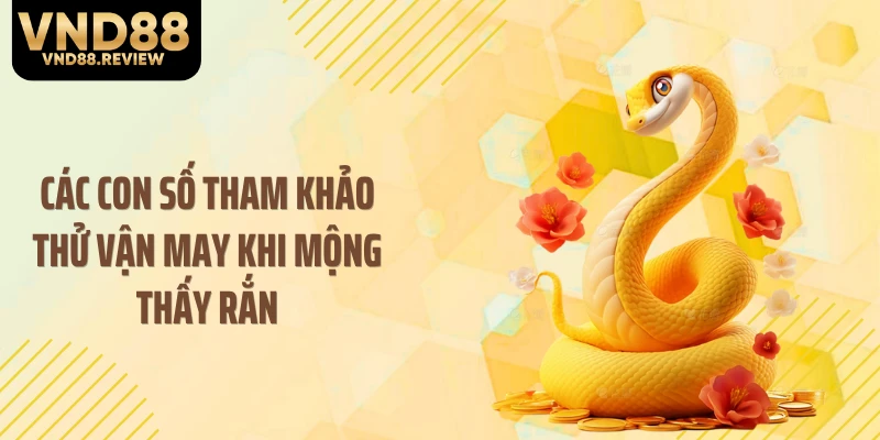 Các con số tham khảo thử vận may khi mộng thấy rắn