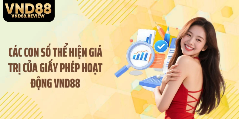 Các con số thể hiện giá trị của giấy phép hoạt động VND88
