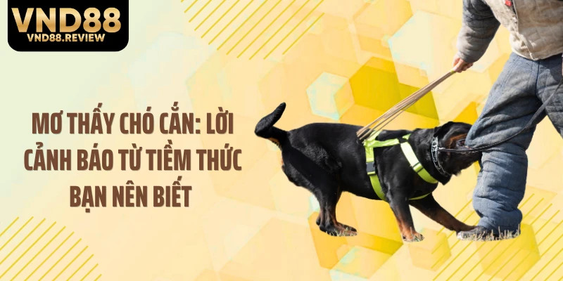 Mơ Thấy Chó Cắn: Lời Cảnh Báo Từ Tiềm Thức Bạn Nên Biết 