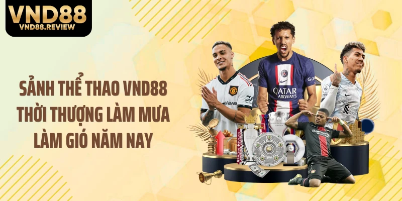 Sảnh thể thao VND88 thời thượng làm mưa làm gió năm nay