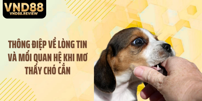 Thông điệp về lòng tin và mối quan hệ khi mơ thấy chó cắn