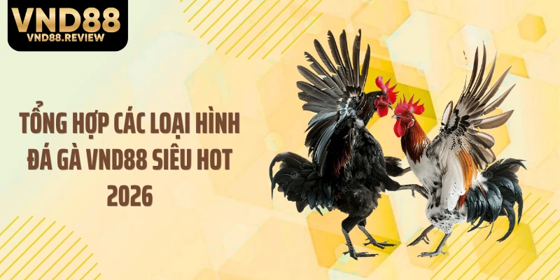 Tổng hợp các loại hình đá gà VND88 siêu hot 2026