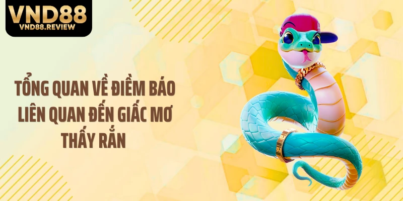 Tổng quan về điềm báo liên quan đến giấc mơ thấy rắn